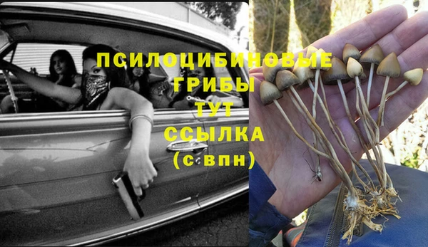 не бодяженный Кукмор