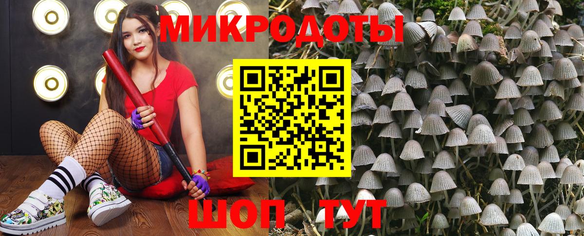 Галлюциногенные грибы Magic Shrooms Ноябрьск