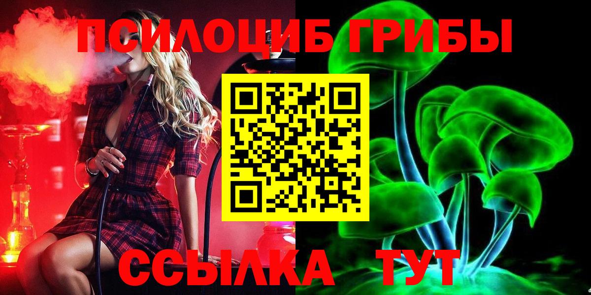 цена наркотик  Псилоцибиновые грибы Cubensis  Псилоцибиновые грибы мицелий  Вход с VPN  Ноябрьск 