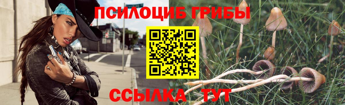 Псилоцибиновые грибы GOLDEN TEACHER  Ноябрьск  Галлюциногенные грибы Cubensis 