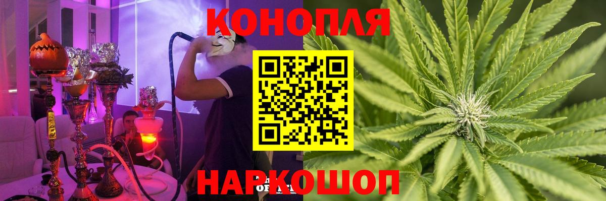 Бошки Шишки сатива  Бошки Шишки план  Каннабис конопля  Вход с VPN  Ноябрьск 